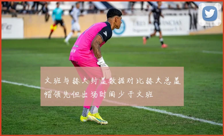 文班与赫夫封盖数据对比赫夫总盖帽领先但出场时间少于文班