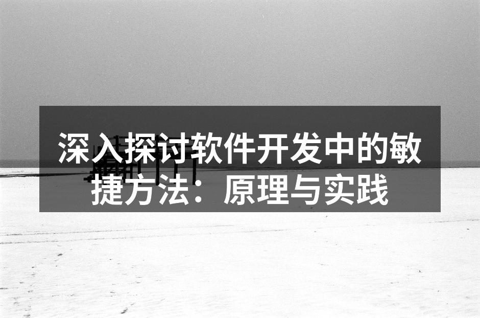 深入探讨软件开发中的敏捷方法：原理与实践