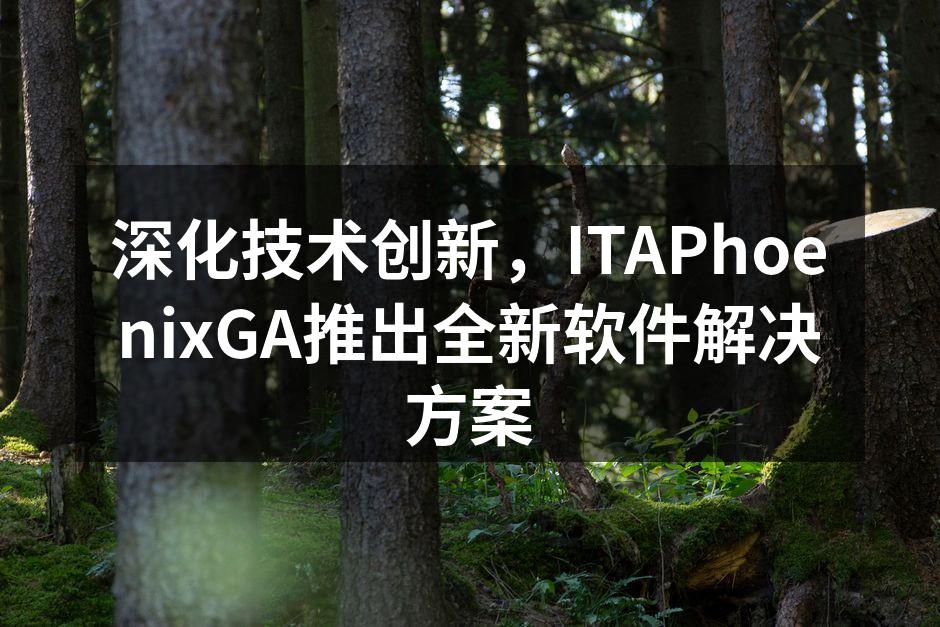 深化技术创新，ITAPhoenixGA推