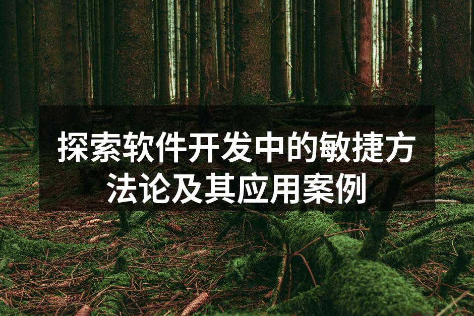 探索软件开发中的敏捷方法论及其应用案例